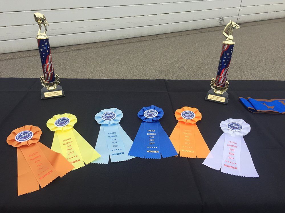 A row of ribbons with one that says ' winner ' on it