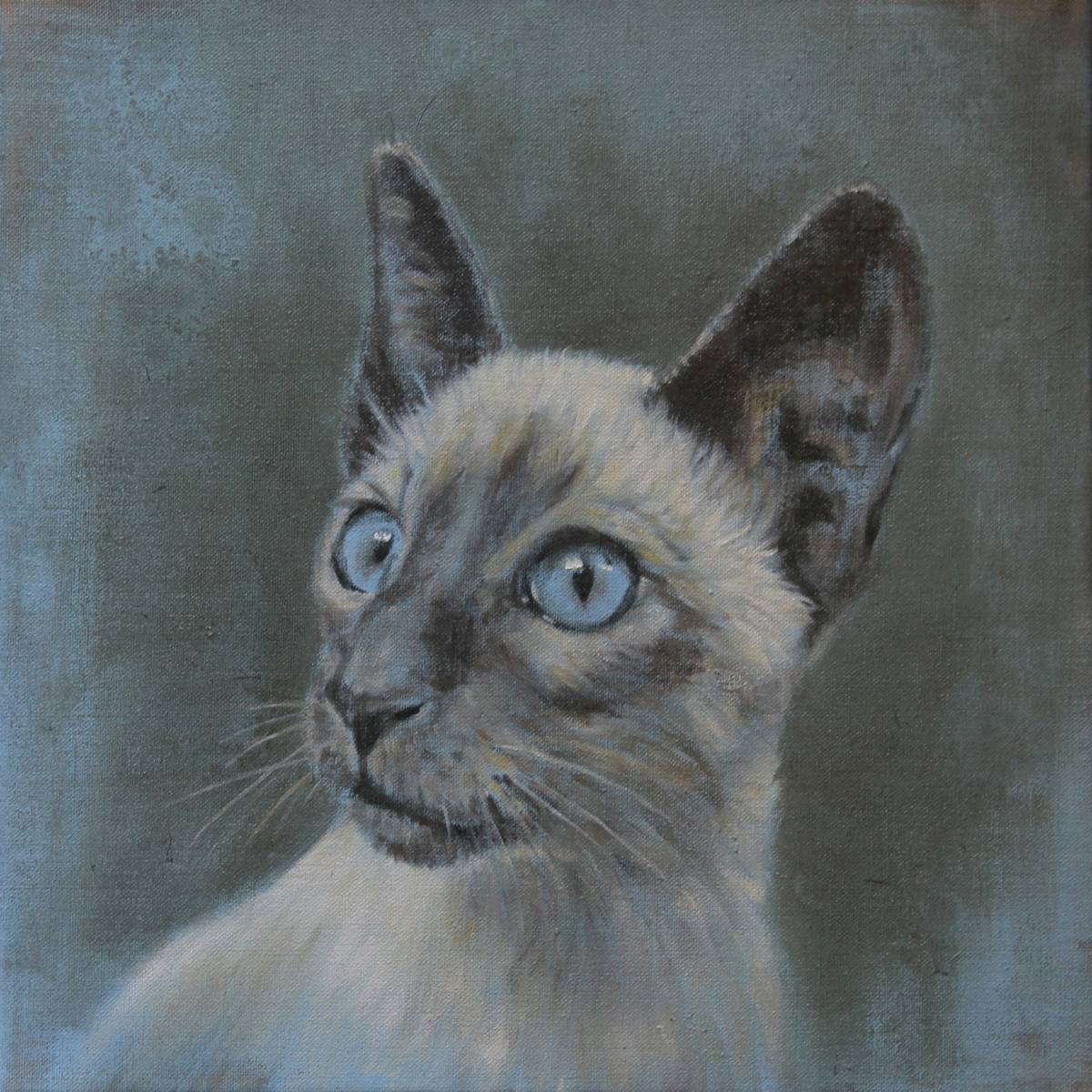 Een schilderij van een siamese kat met blauwe ogen die in de camera kijkt.
