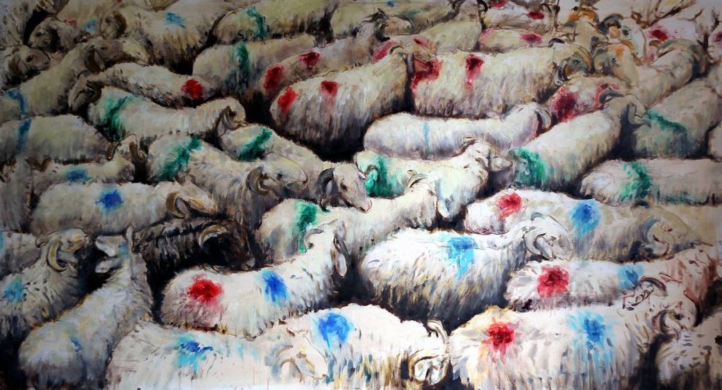 Een kudde schapen met rode en blauwe vlekken op hun vacht