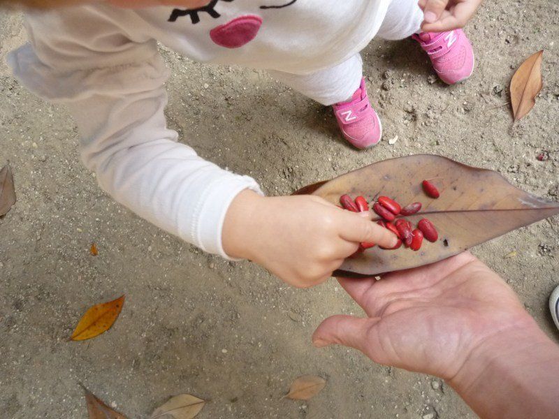 Laboratori per bambini