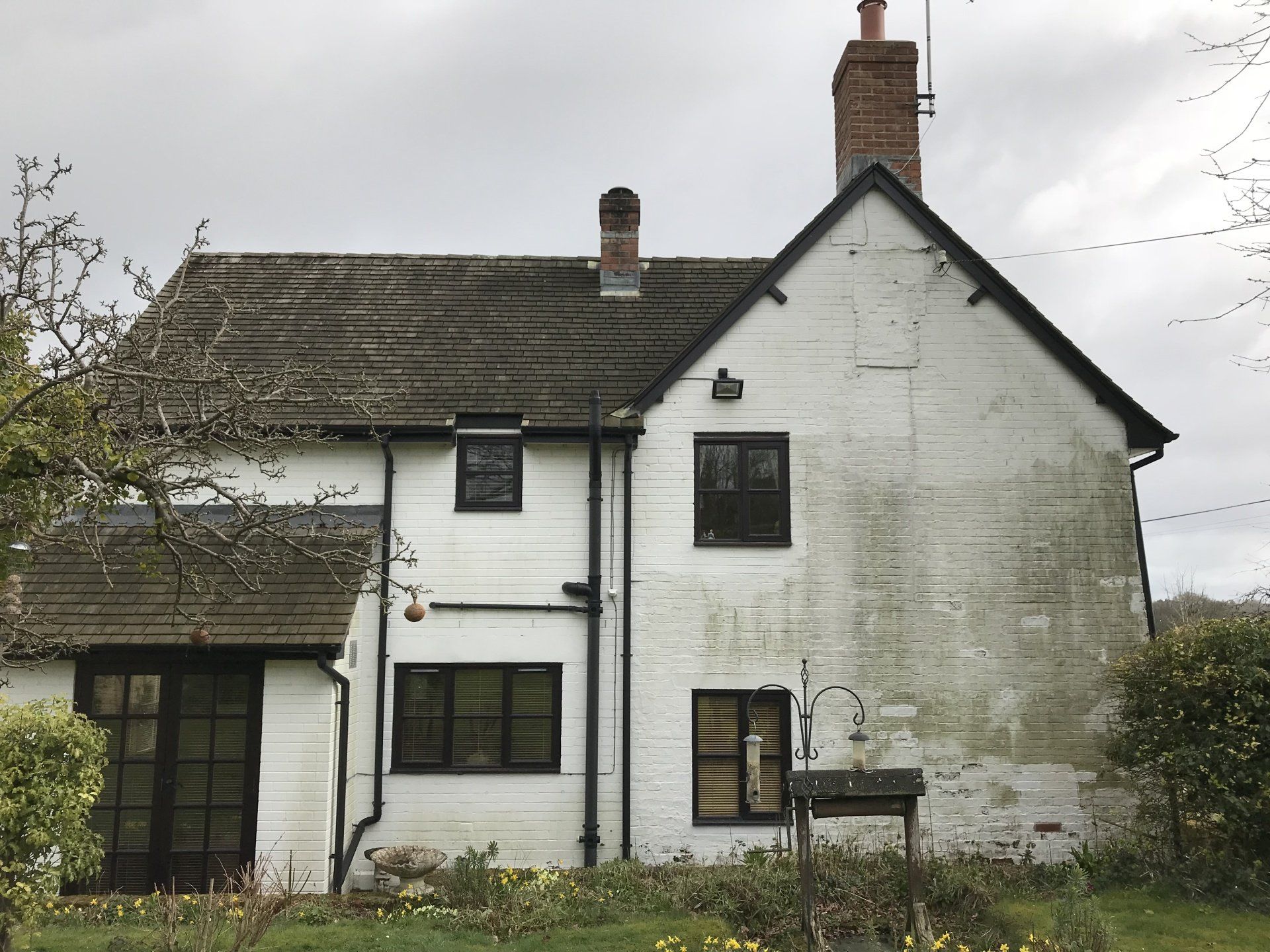 Exterior house softwashed
