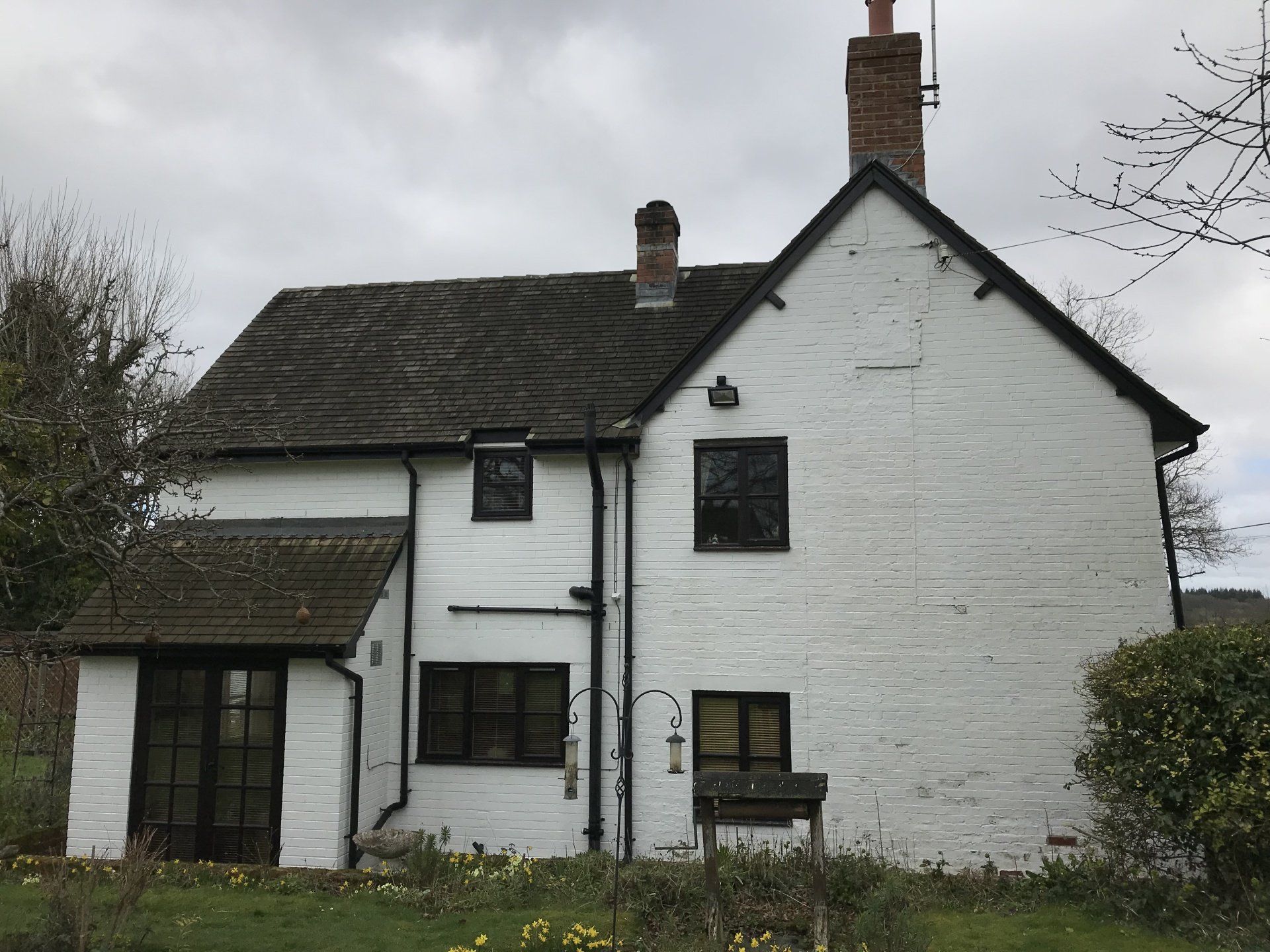 Exterior house walls softwashed