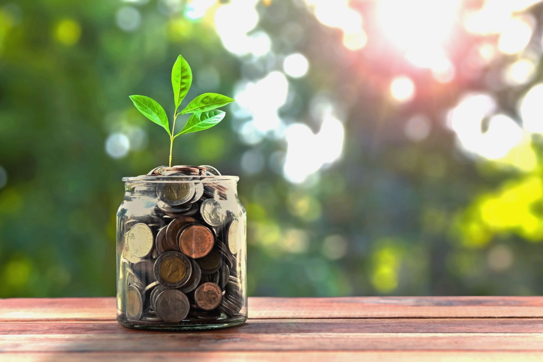A plant is growing out of a jar of coins.
