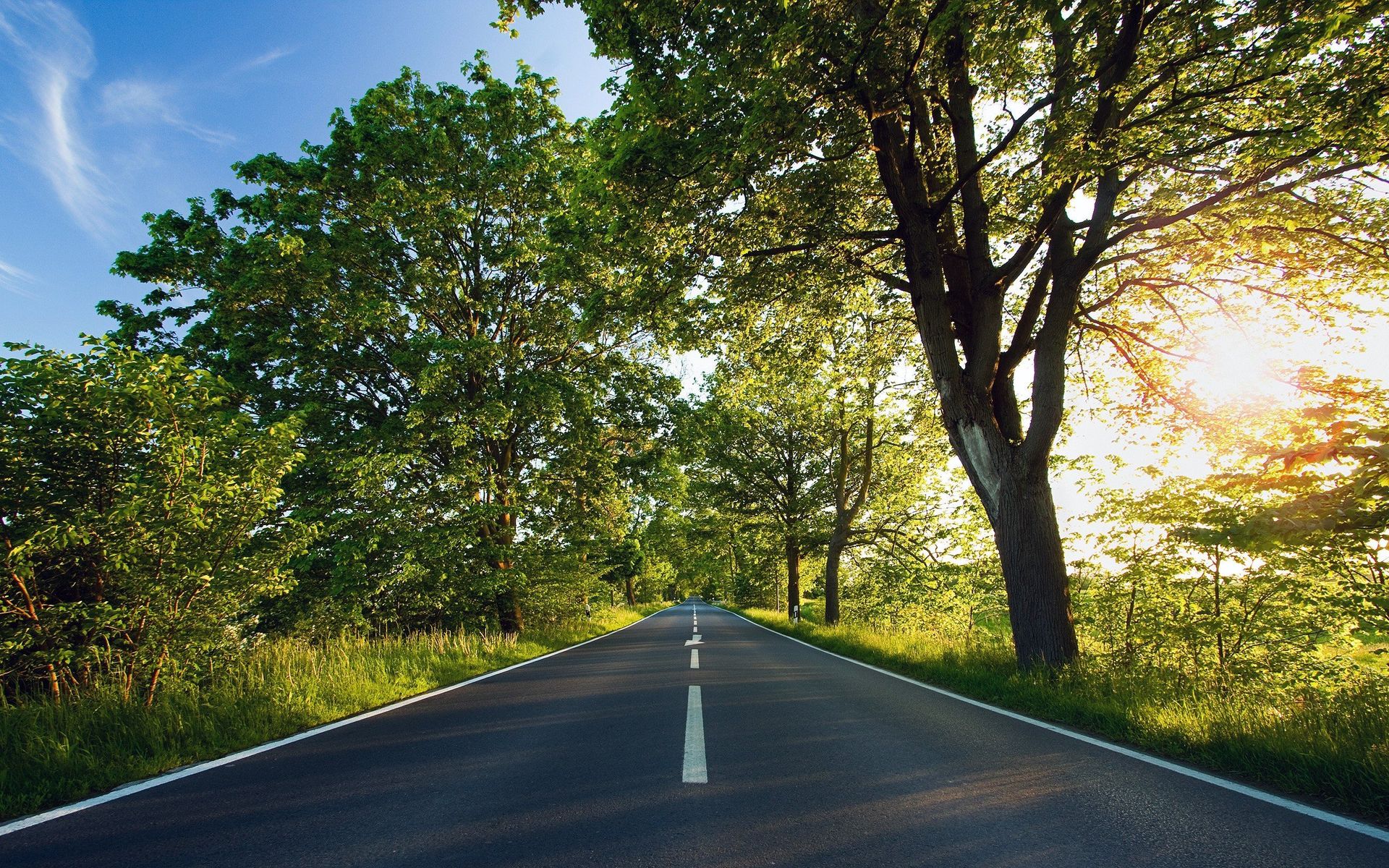 A road with trees on both sides of it and the sun shining through the trees.