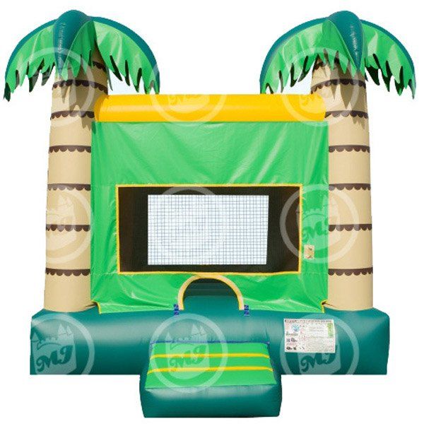 Palm Tree