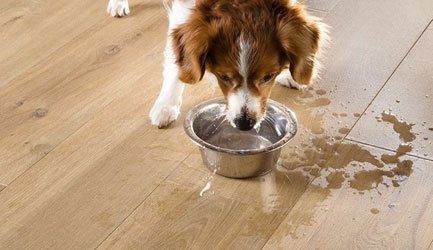 Scratch-resistant flooring