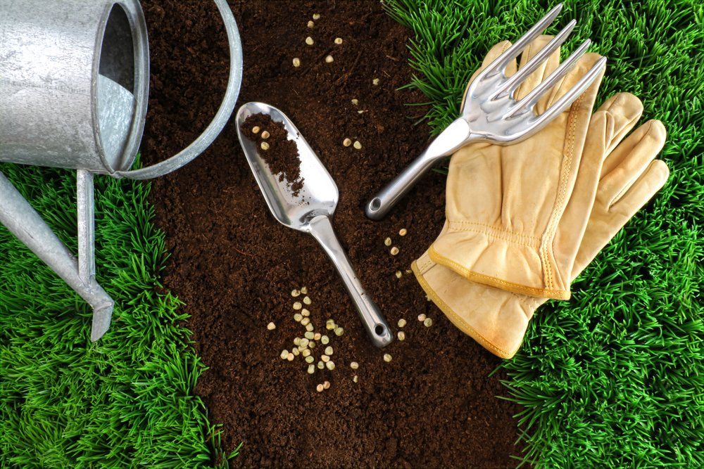 Gardening Tools for planting grass