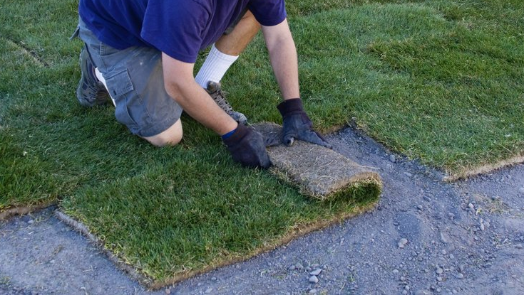 Man putting down grass sod