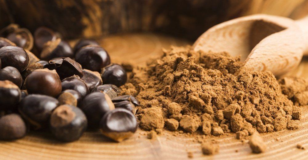 Guarana Frucht und Pulver - Rohkostqualität - Vegan - Bioqualität - Unterstützt Kleinbauern mit dem ONCA Projekt - Fairtrade
