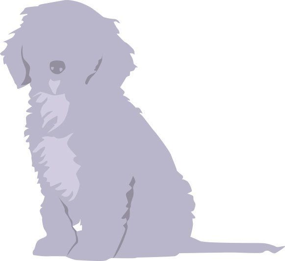 Puppy introductory Groom