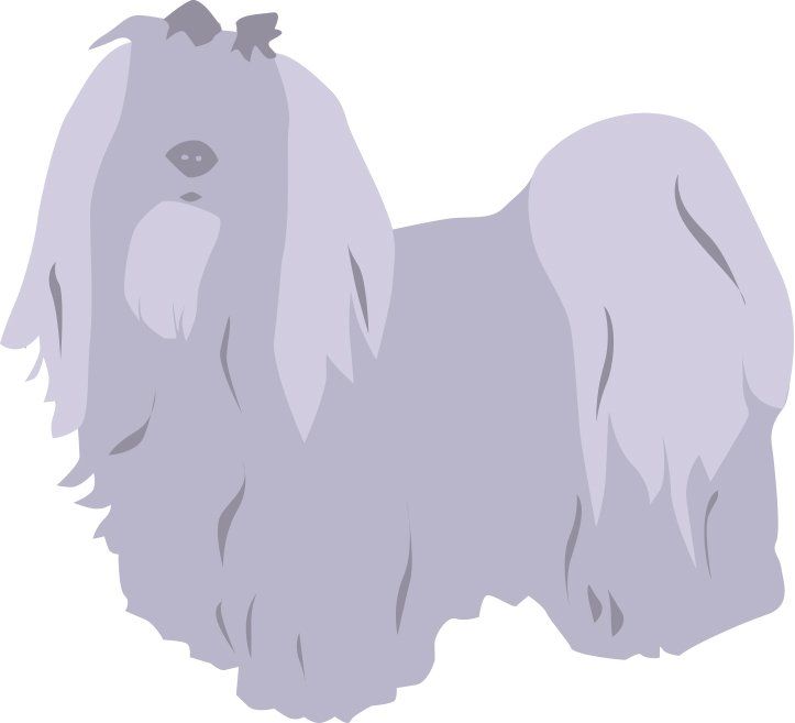 Bath and Brush Groom