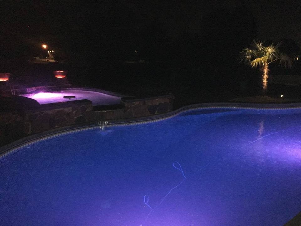 A swimming pool is lit up at night with purple lights