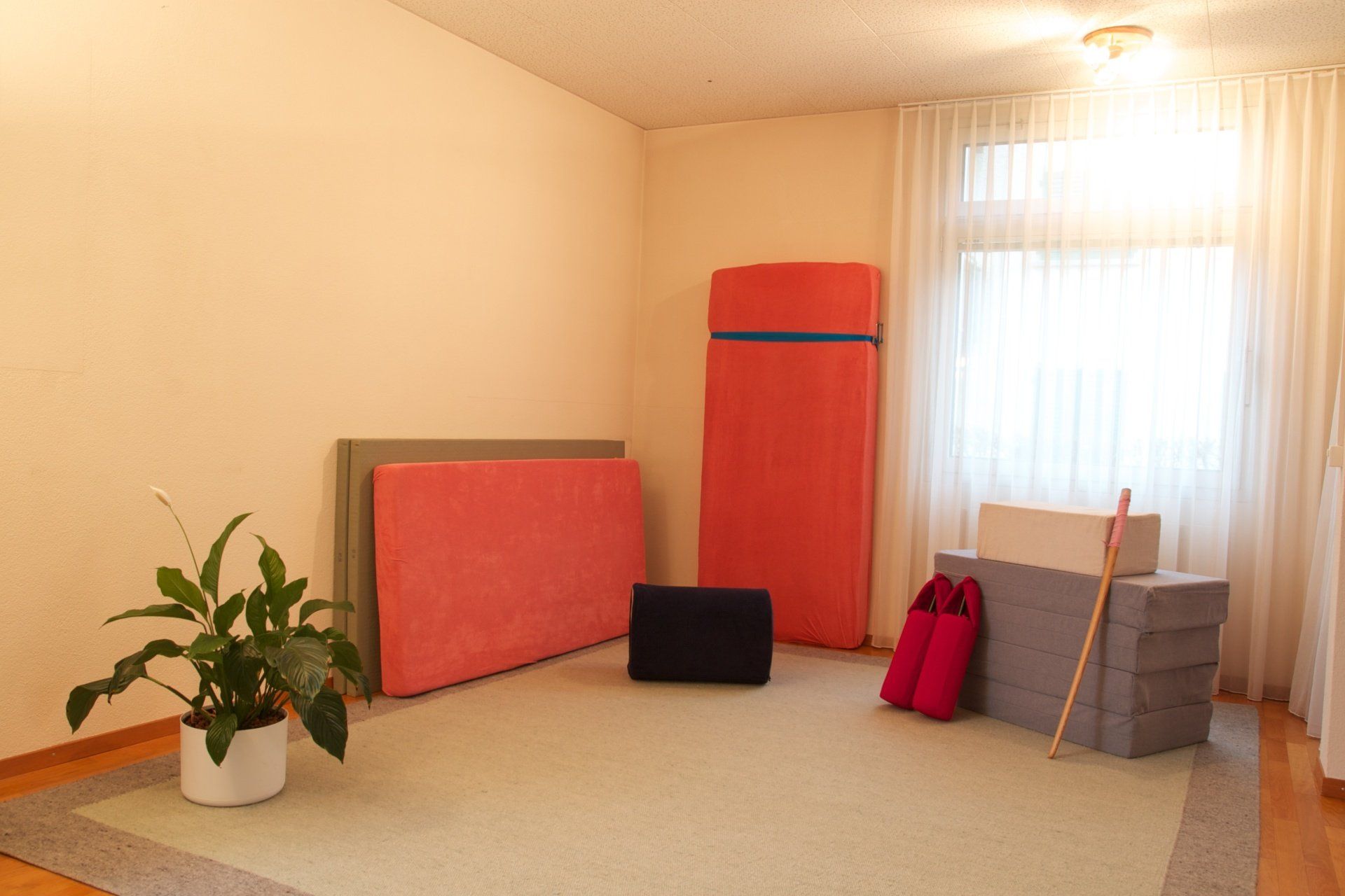 A room with a lot of mattresses and a plant