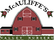 McAuliffe's Valley Nursery McAuliffe's Valley Nursery