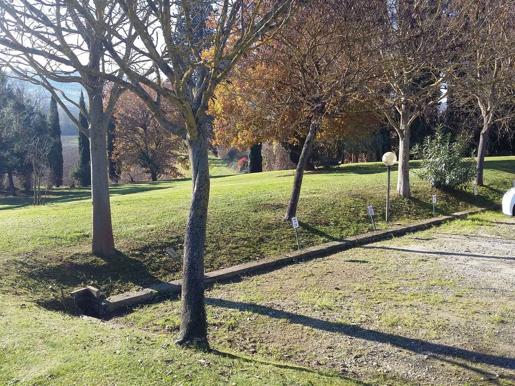 interventi di  giardinaggio a Firenze