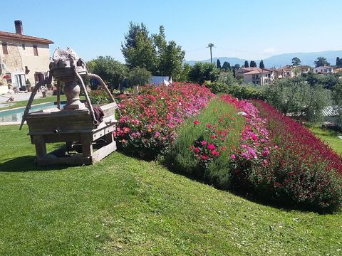 Realizzazione giardini Realizzazione giardini a Firenze