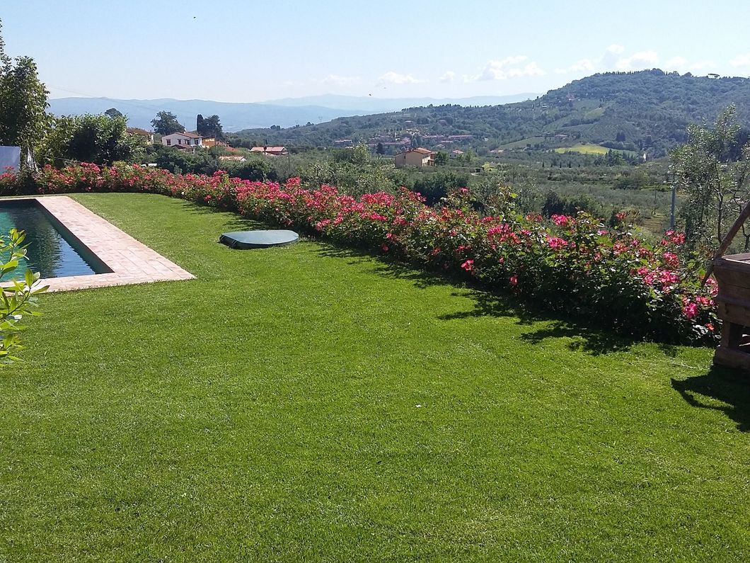Un prato verde lussureggiante con una piscina sullo sfondo