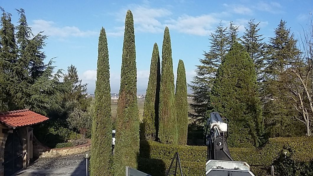 servizi di  giardinaggio a Firenze