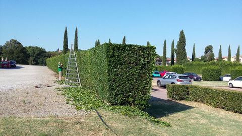 Manutenzione giardini a Firenze