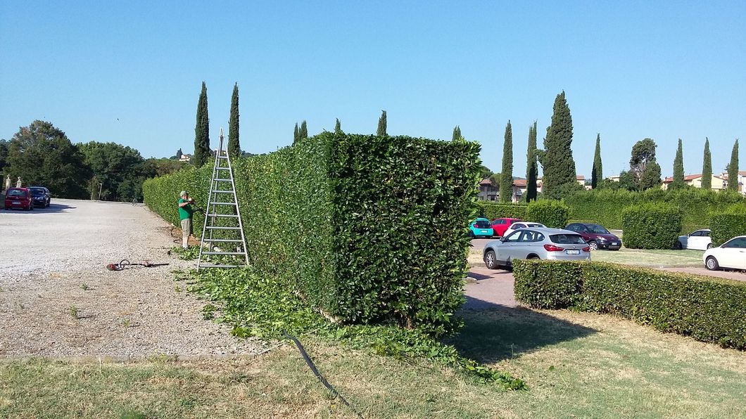 lavori di  giardinaggio a Firenze