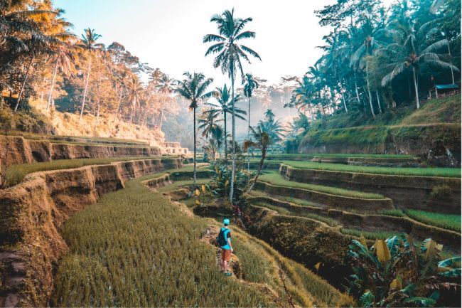 Web Design Portfolio | Travel Industry Website Design