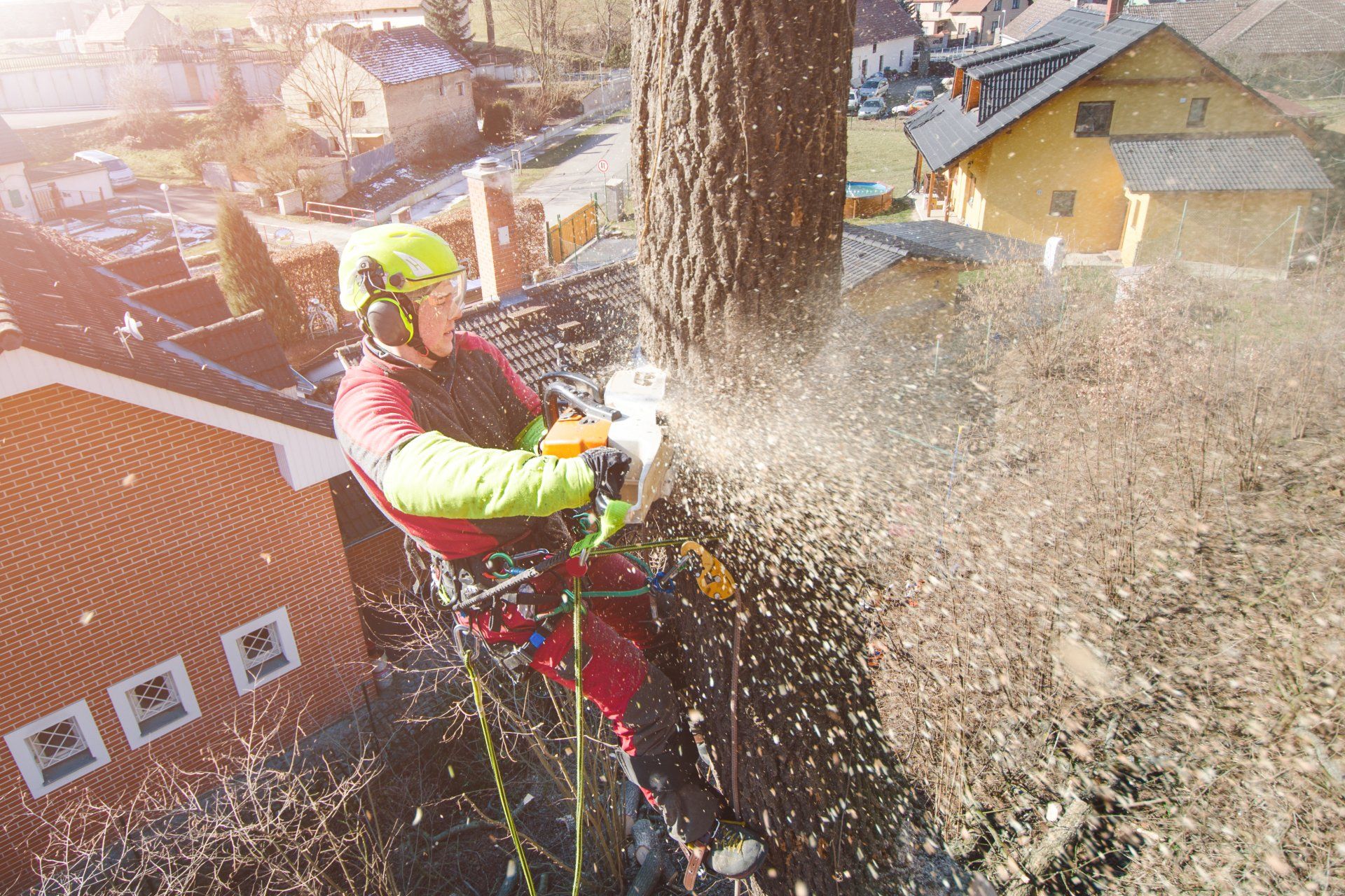 Hecksel Tree Services