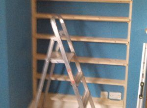 ladder