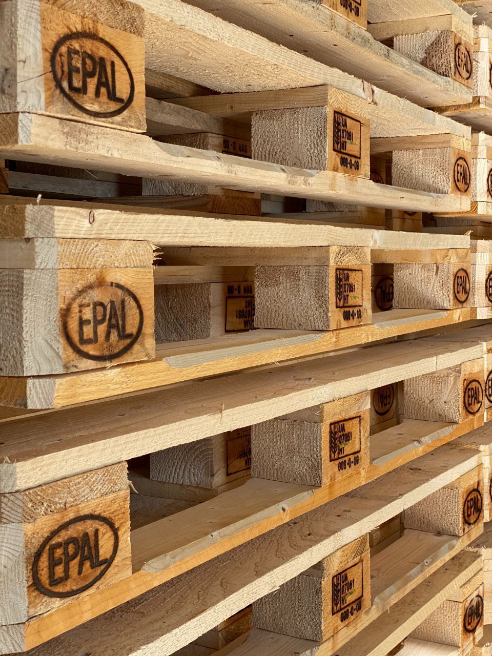 Bancale EPAL 2