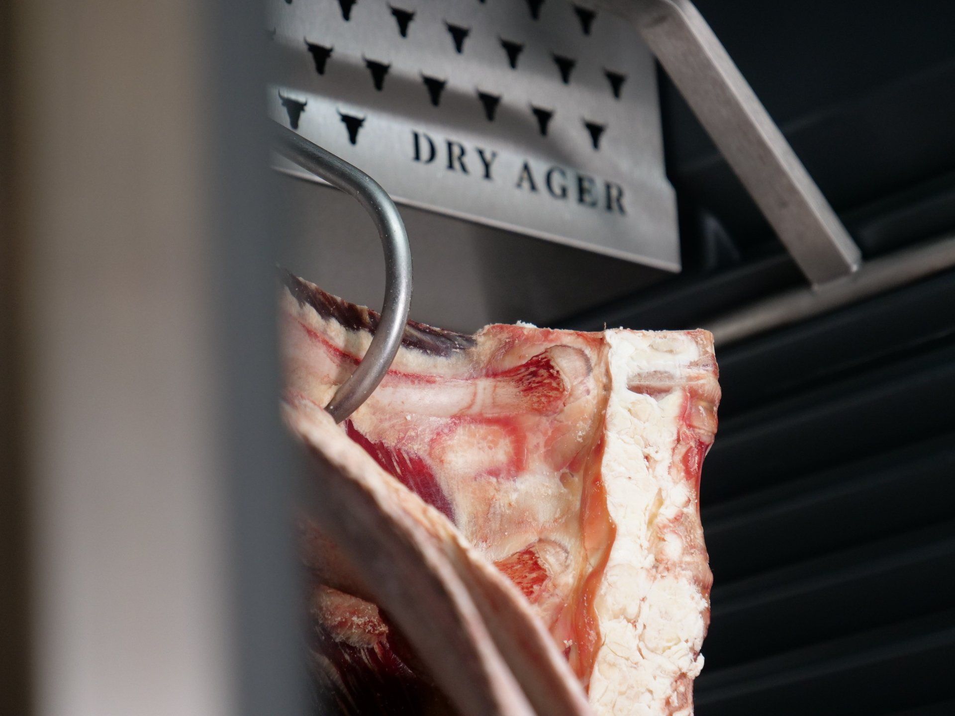 dryagedbeef