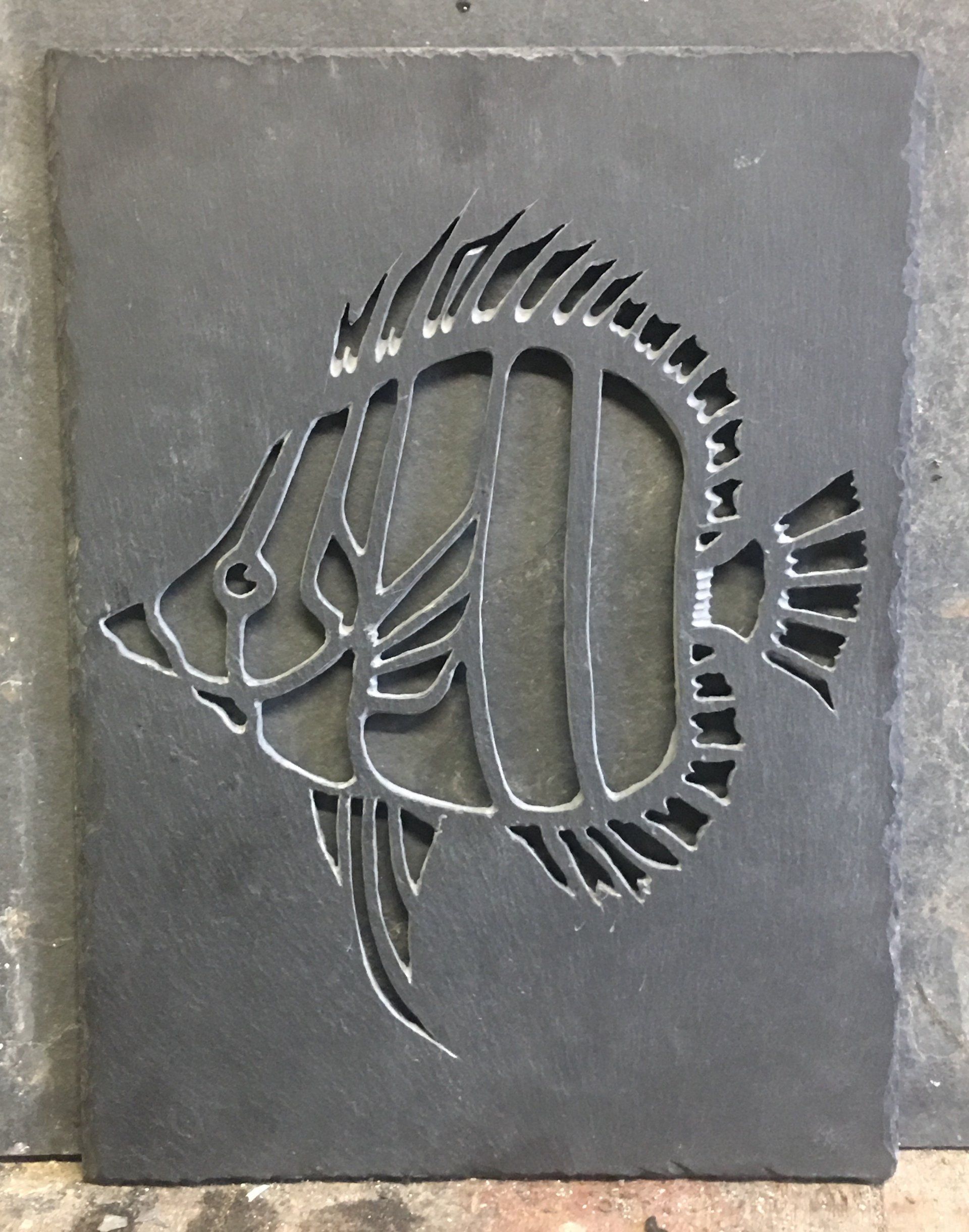 tropical fish in slate