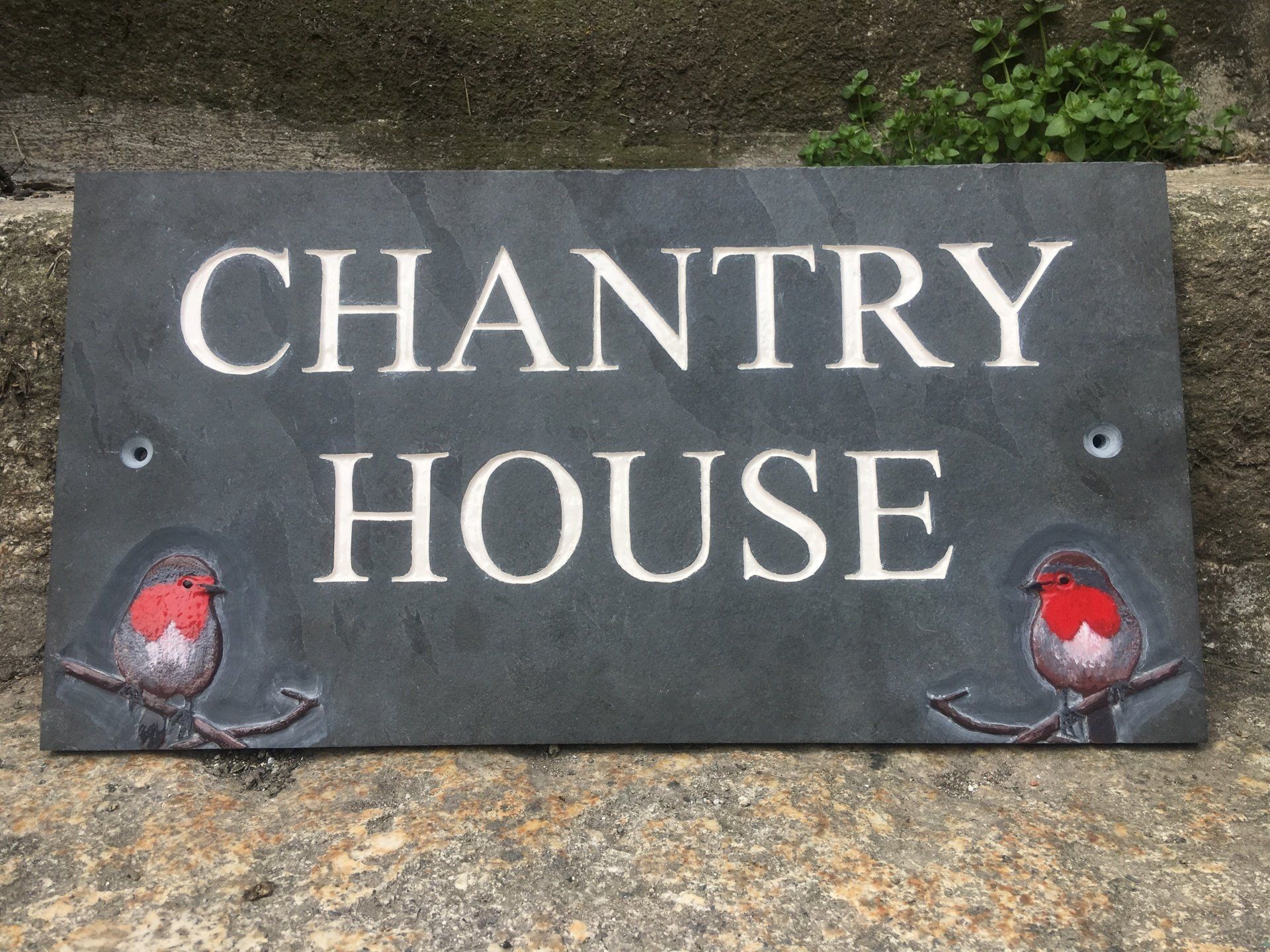 robins in slate