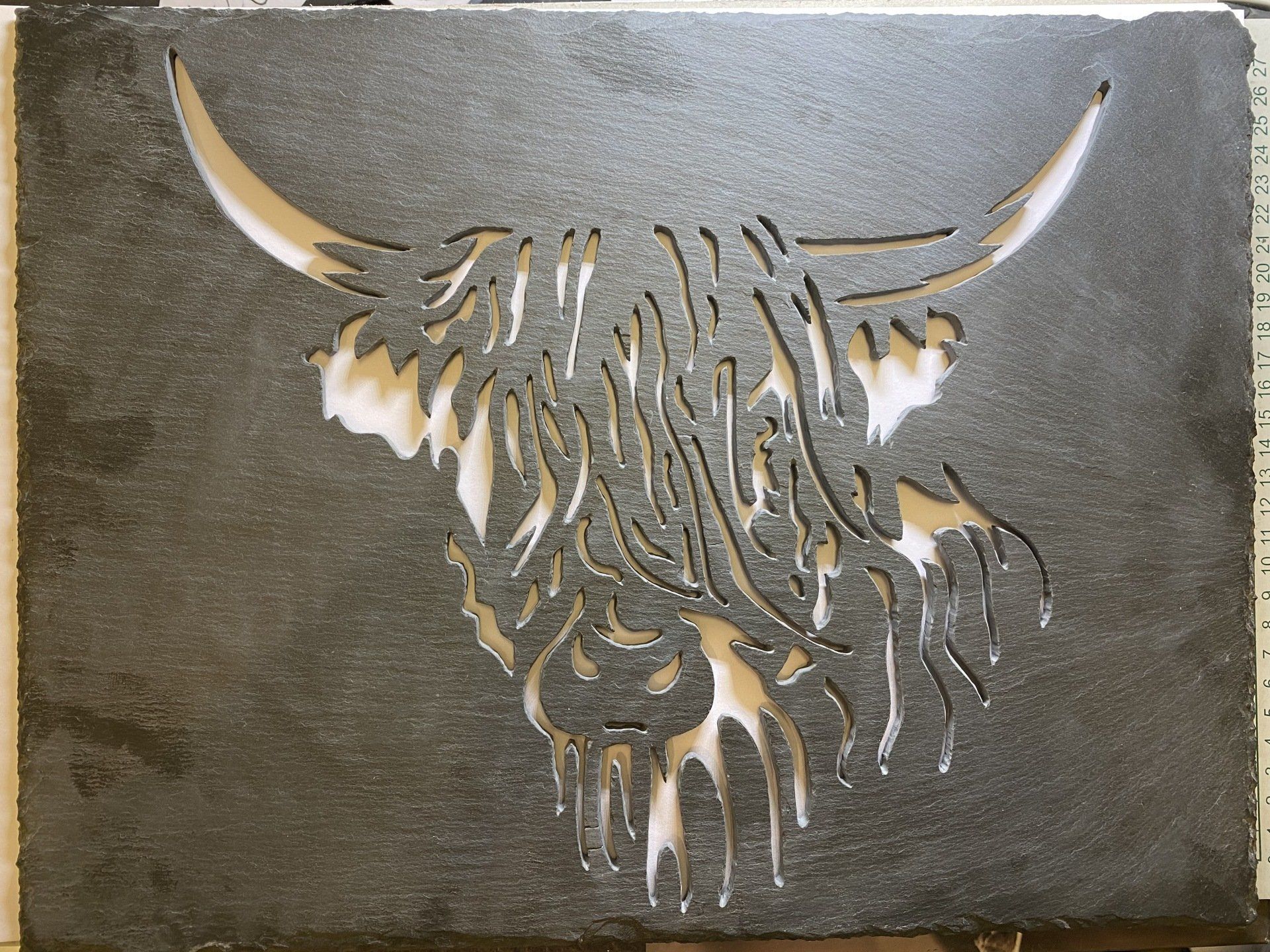 highland cow in slate