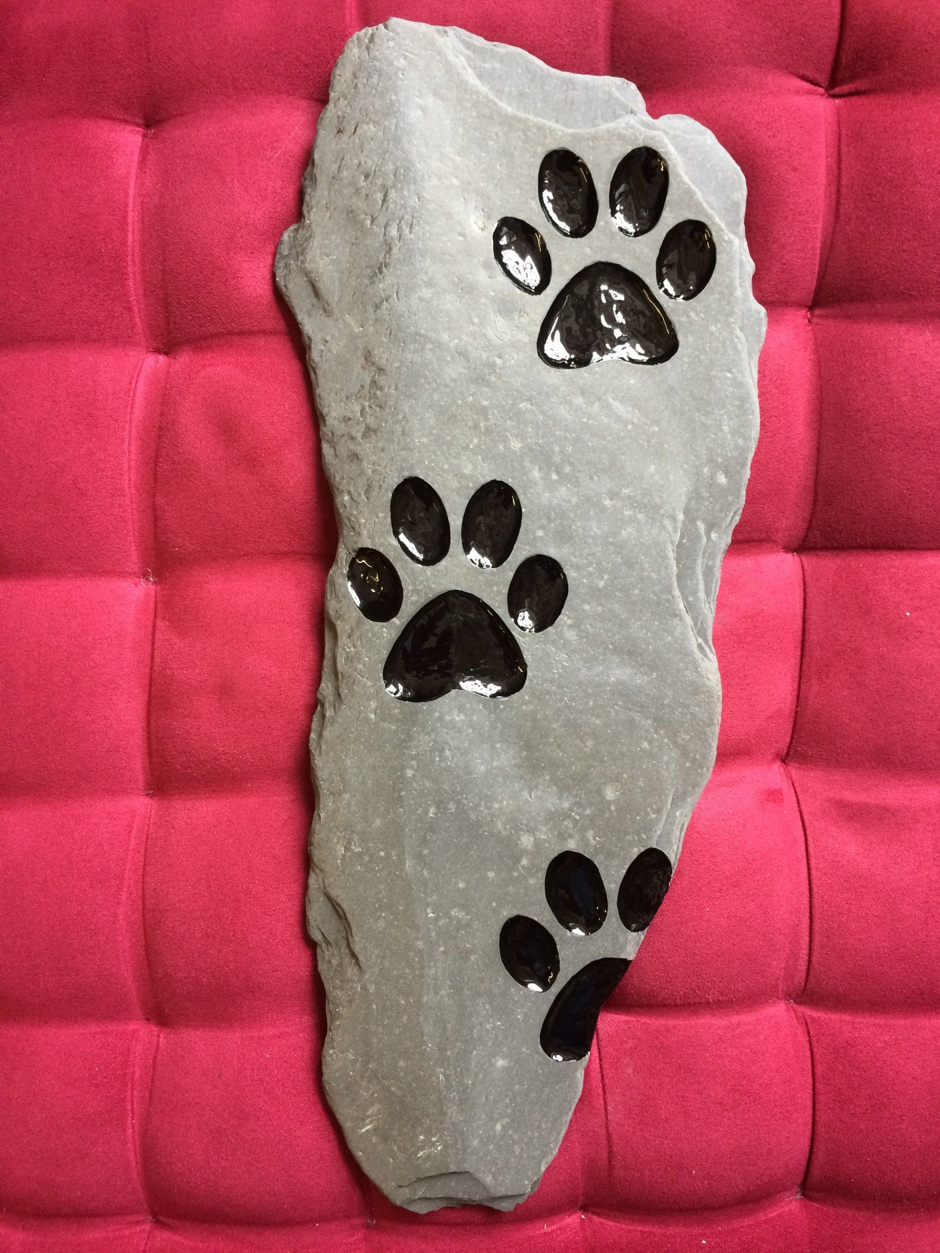 pawprints