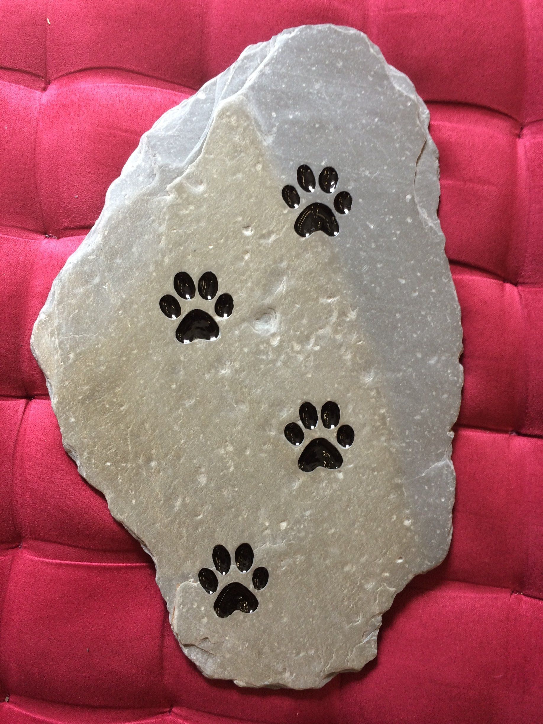 pawprints