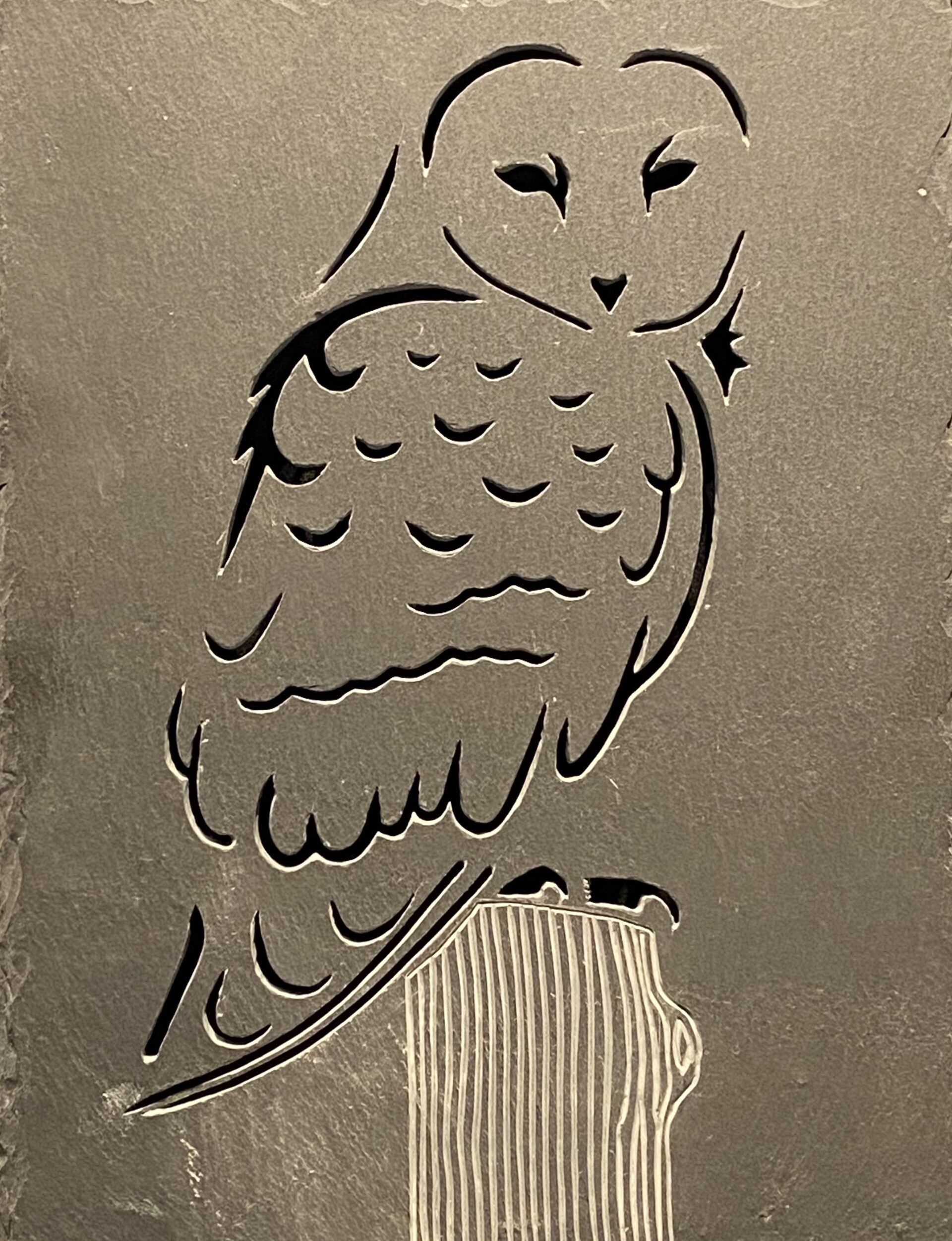 owl in slate