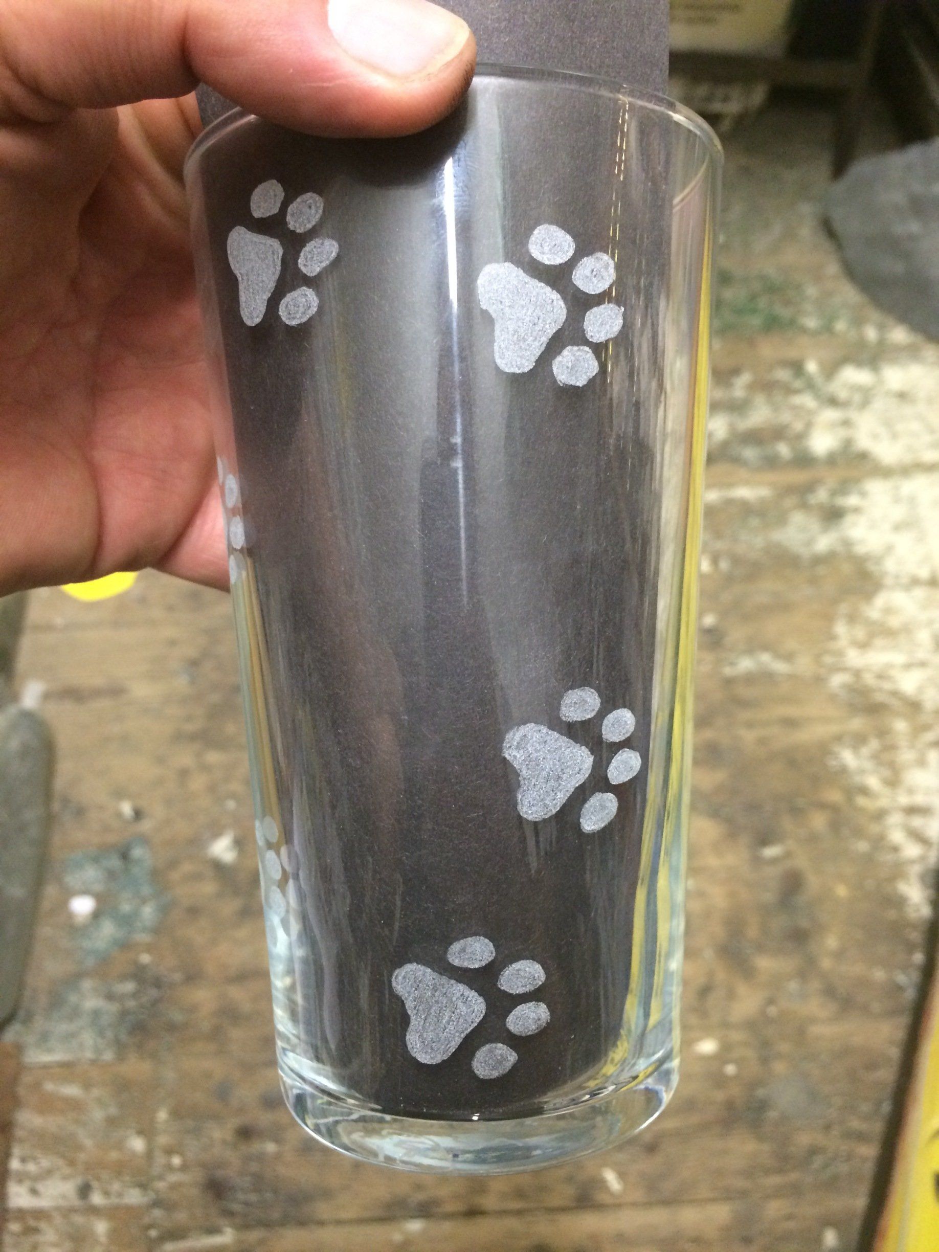 cat prints on glass cat prints etching in glass