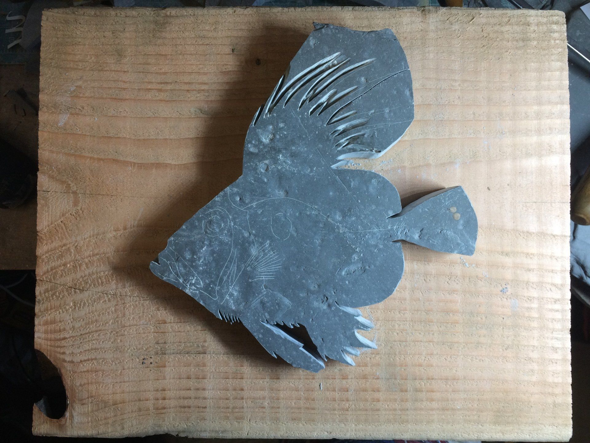 john dory