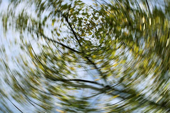 Benign Paroxysmal and Positional Vertigo treamtment