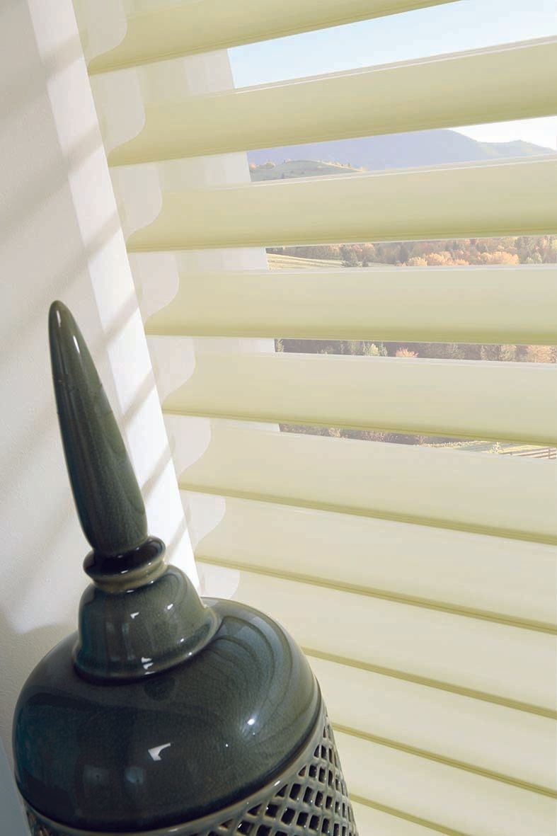 Visage Blinds
