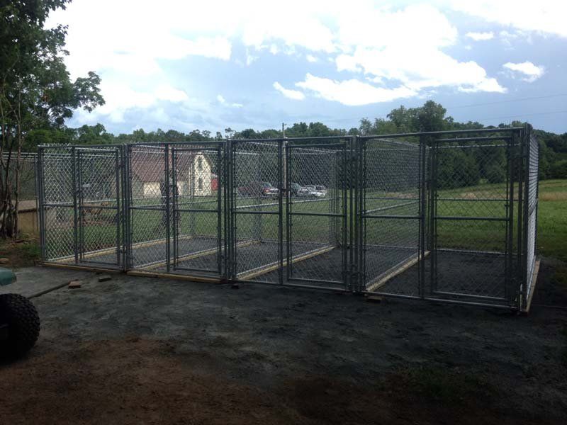 Outdoor Chain Link Fence
