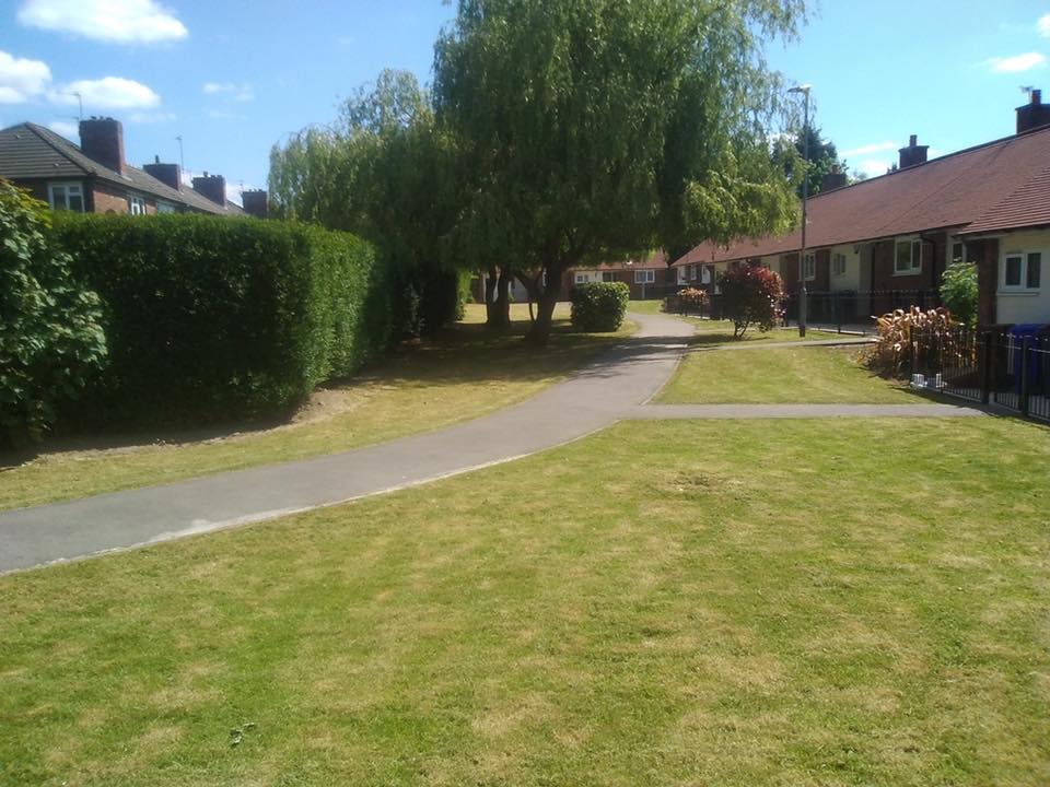 Lawn care