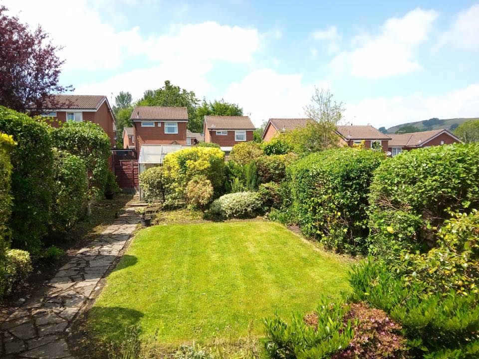 Hedges