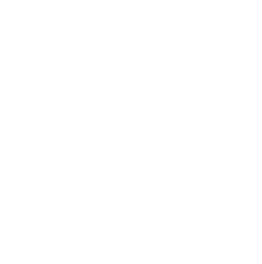 telephone icon