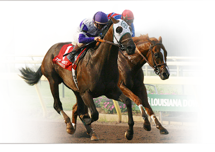 Horse Racing Casino Game Rentals