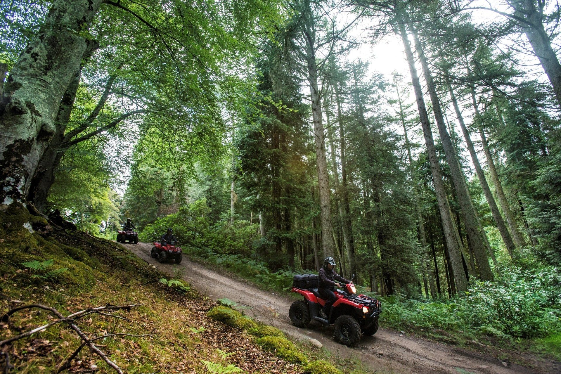 quad activities