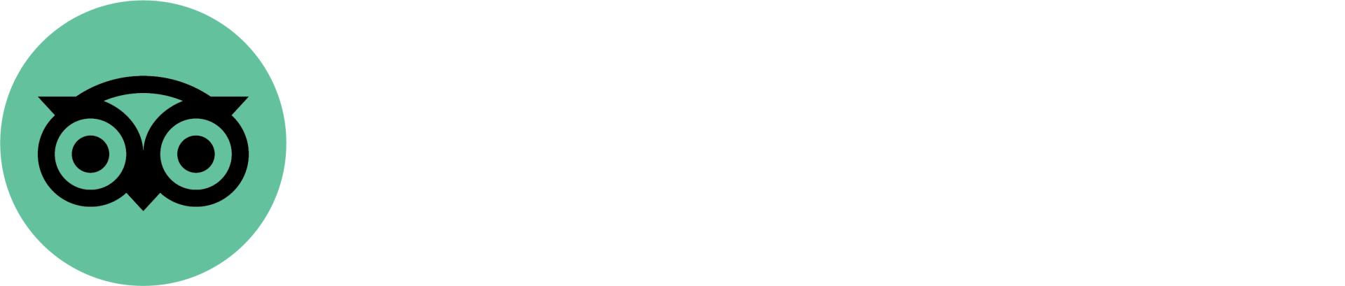 tripadvisor logo