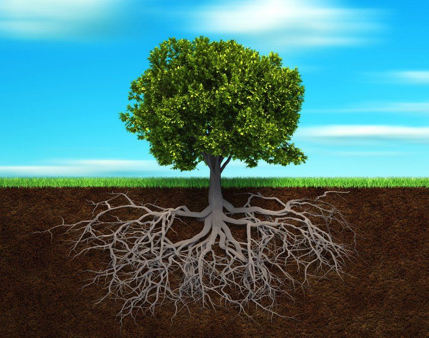 Functional medicine