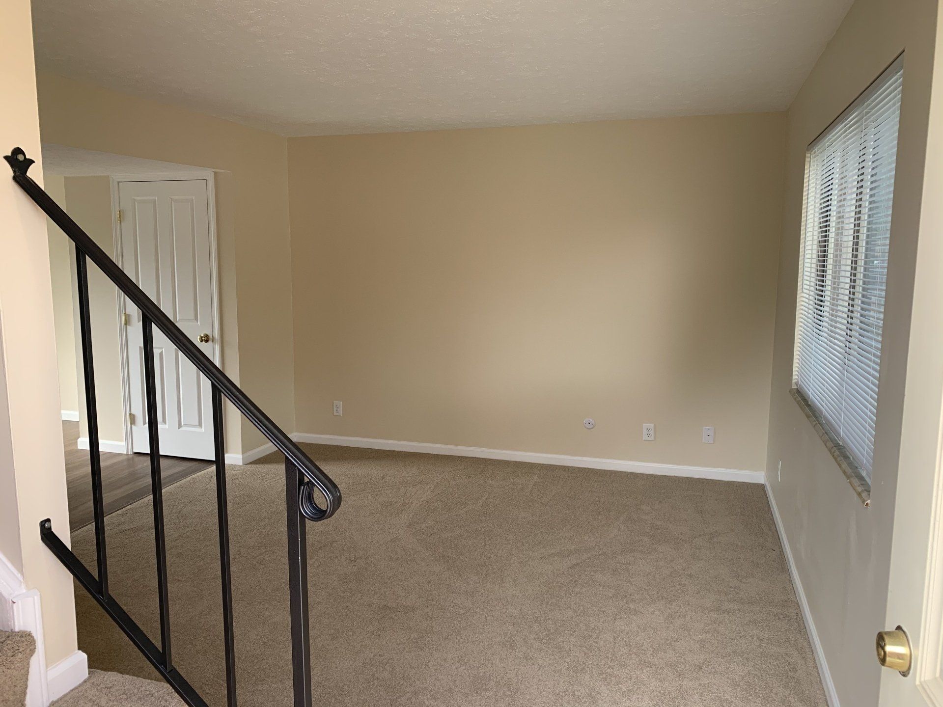 Photo Gallery