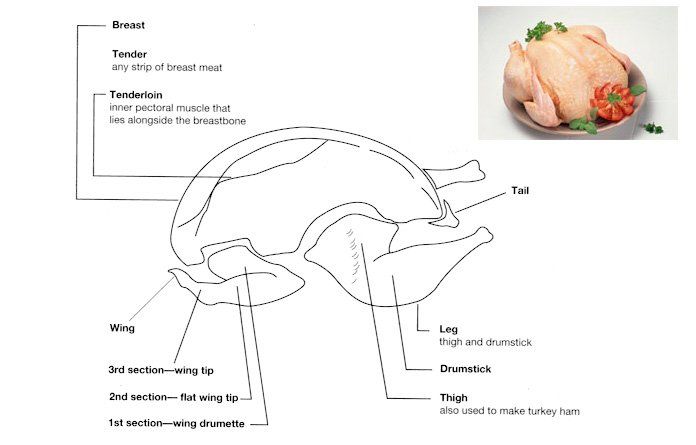 Poultry Cuts Chart