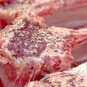 Lamb